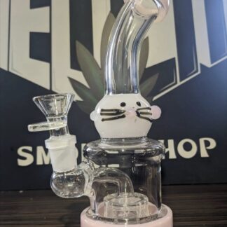 CAT BONG