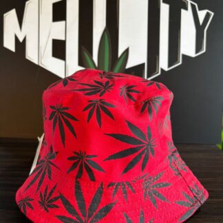 Pava hojas de cannabis